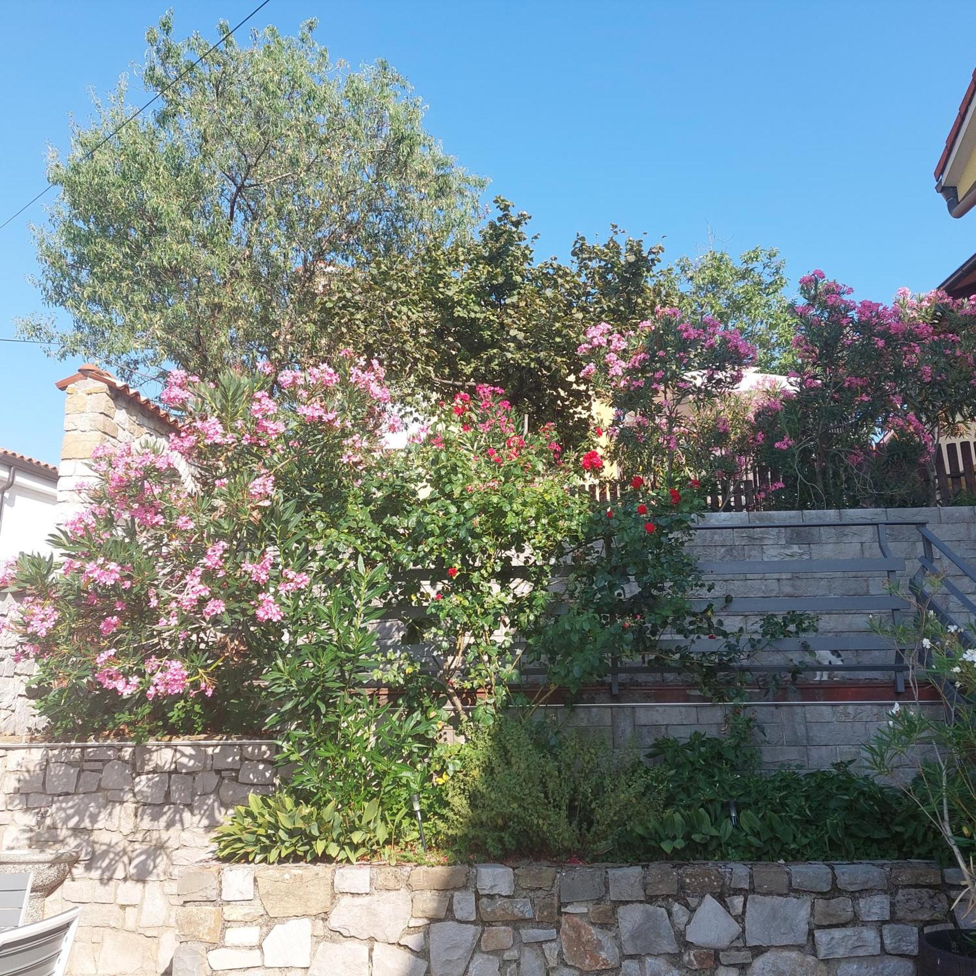 Apartma Nika Pobegi Exterior foto